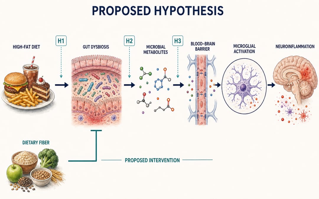 Hipótesis biomédica ficticia que enlaza dieta, disbiosis intestinal, metabolitos microbianos, activación microglial y neuroinflamación