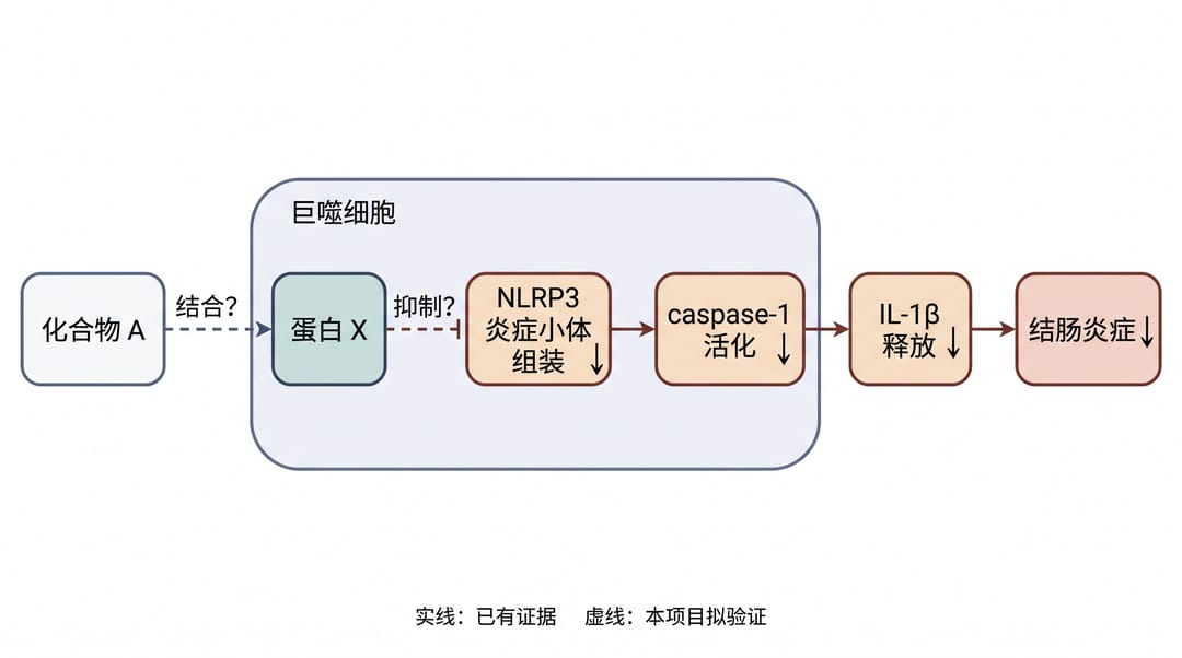 Scientific hypothesis diagram example: solid lines for existing evidence, dashed lines for links to be tested