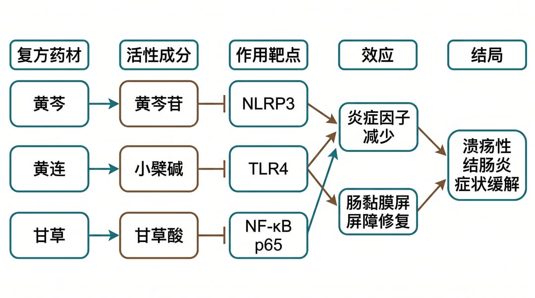 Example mechanism diagram of a herbal formula with components, targets and pathways (labelled in Chinese)