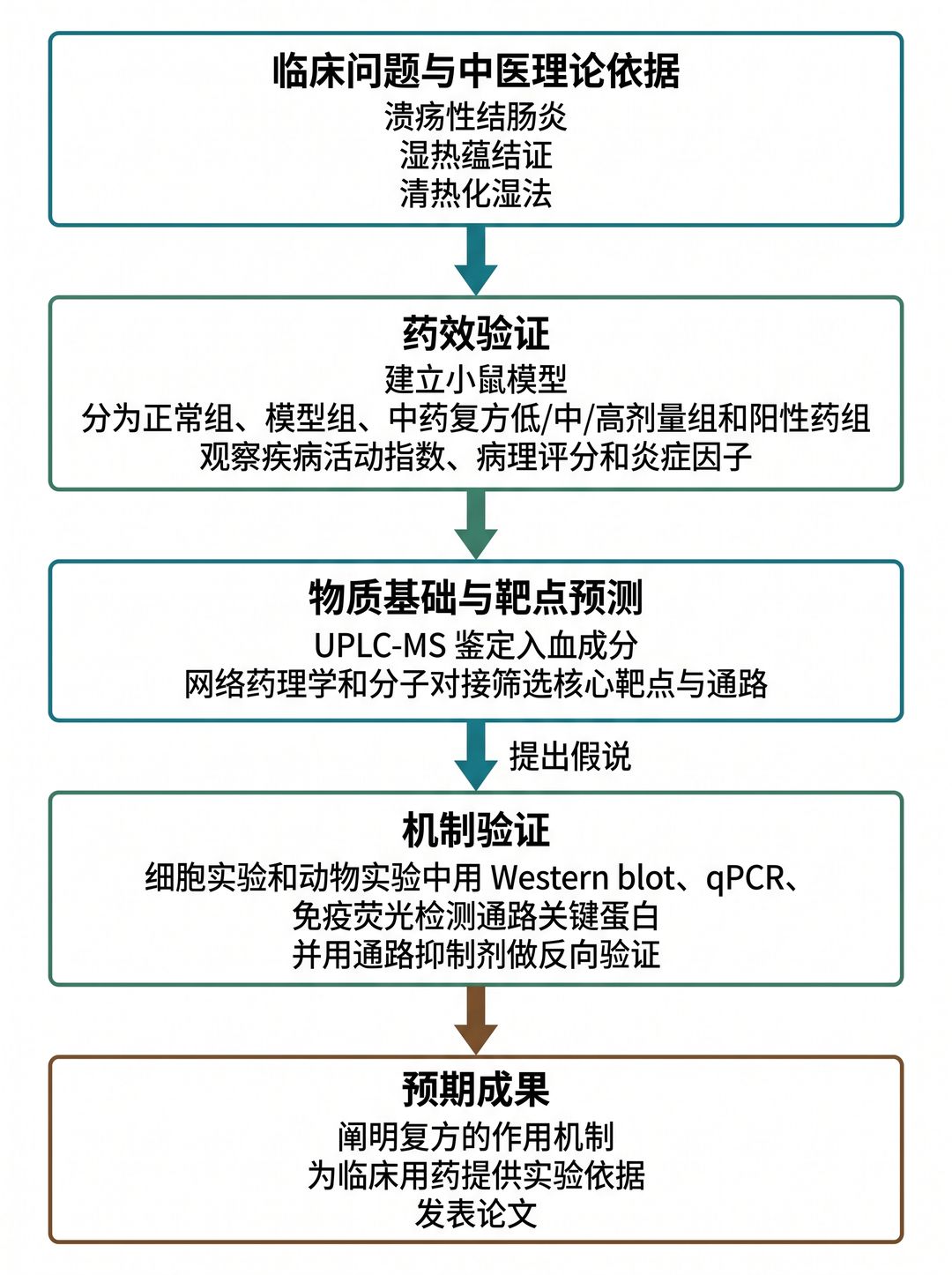 Example research roadmap for a traditional Chinese medicine project (labelled in Chinese)