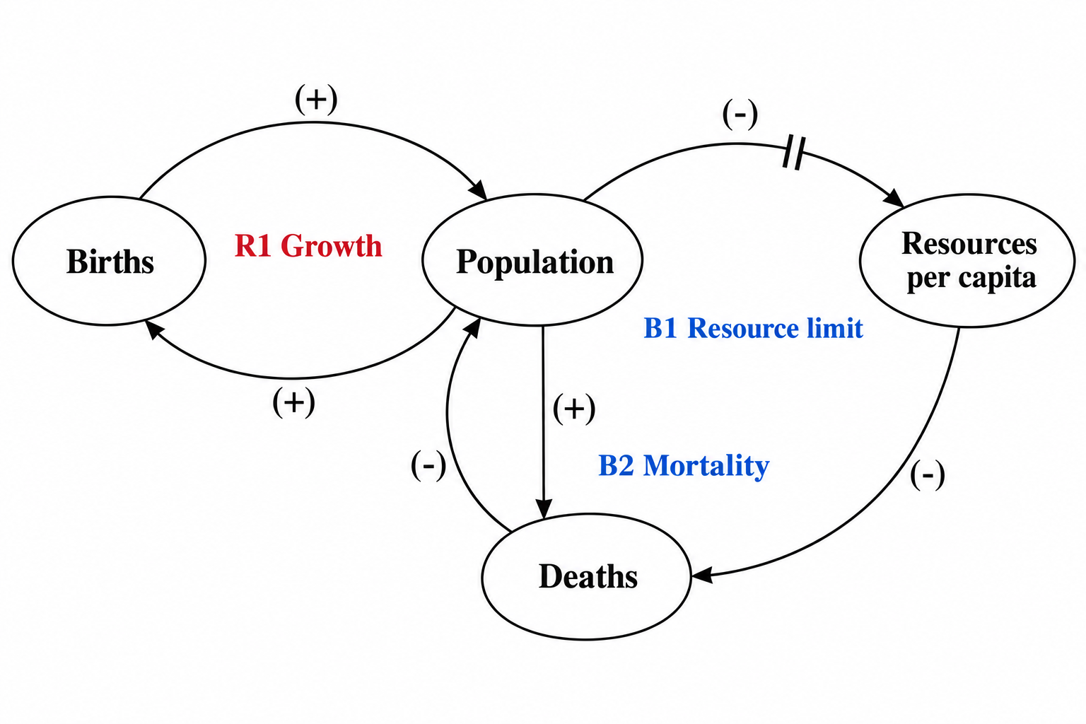 Generador de diagramas de bucles causales — Convierte variables y vínculos causales con signo en un diagrama de bucles causales con bucles R/B y marcas de retardo.