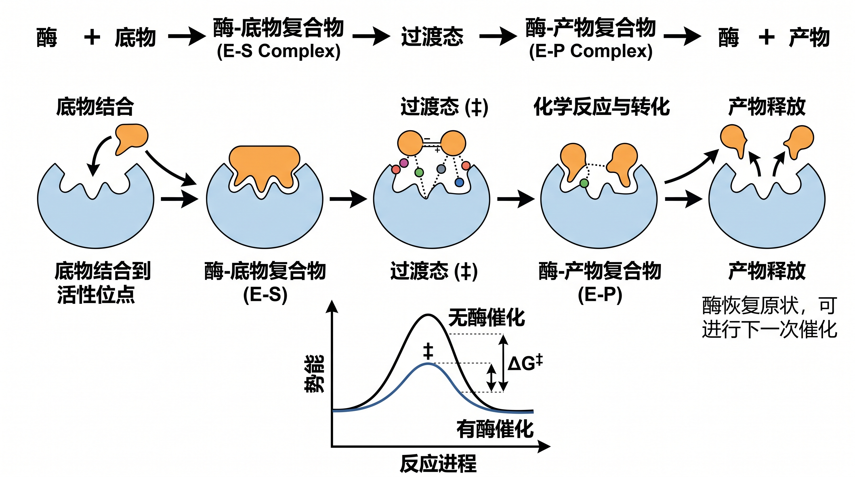 AI 机制图生成器
