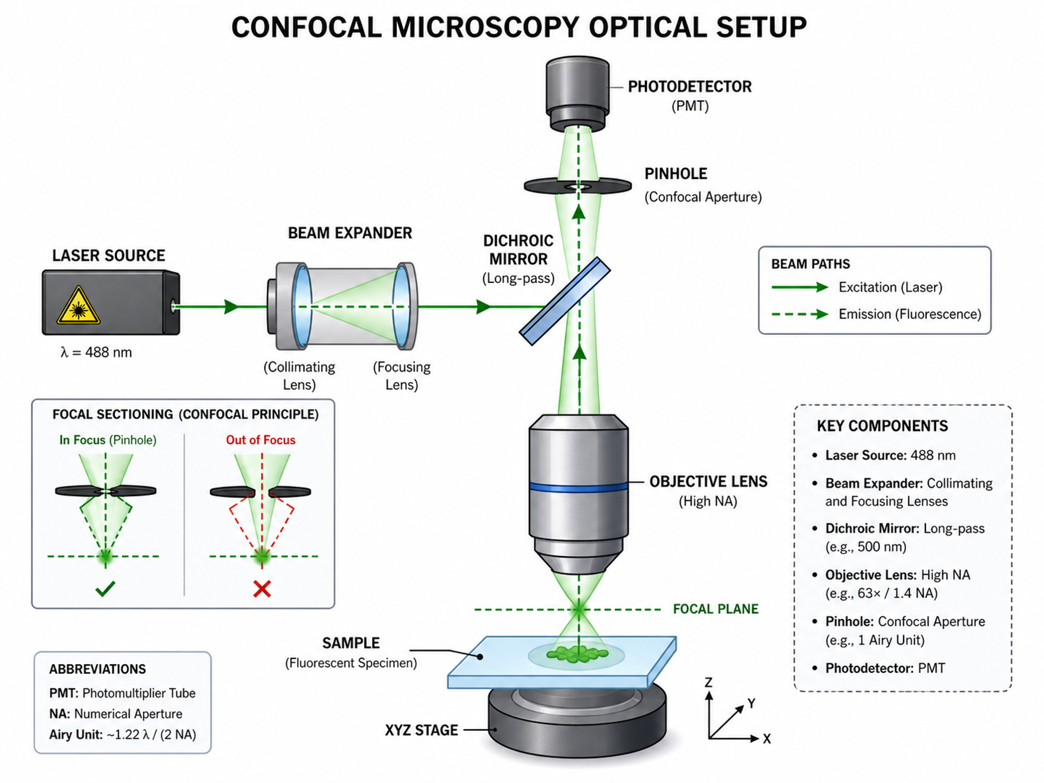 Schematic Diagram Generator — Generate experimental setup and conceptual schematic diagrams