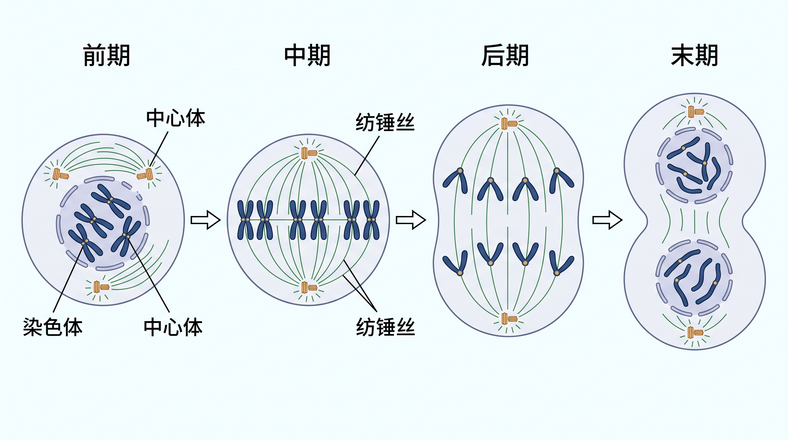 AI 科学图示生成器